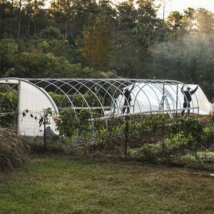 Film ultra-violet <span class=keywords><strong>agricole</strong></span> en polyéthylène 100 m, couverture des légumes, tomates, fleurs, Style cerceau, utilisé dans une <span class=keywords><strong>serre</strong></span> - Product Image 2