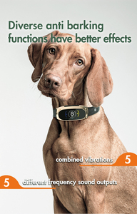 Collar Antiladridos Inteligente con Sensor <span class=keywords><strong>de</strong></span> Gravedad <span class=keywords><strong>para</strong></span> <span class=keywords><strong>Perros</strong></span>, Collar <span class=keywords><strong>de</strong></span> Entrenamiento sin Descargas, Resistente al Agua IPX7, Recargable, Control <span class=keywords><strong>de</strong></span> Ladridos Humano - Product Image 5