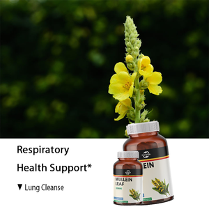 Cápsulas de Gordolobo (Verbasco) 1200 mg, 250 Cápsulas, Extracto de Hoja de Gordolobo para Limpieza Pulmonar y Apoyo Respiratorio, Suplementos, Venta al por Mayor OEM/ODM - Product Image 3