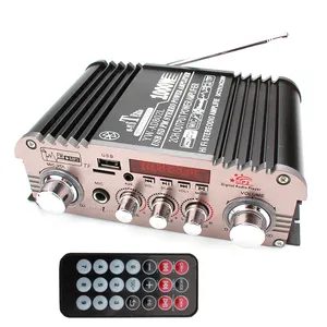 Casa O in Auto 2 Canali Amplificatori Hifi Stereo Sound Subwoofer Audio DC12V 5A AC220V O 110V Con Usd SD senza fili BT FM