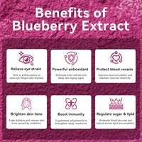 Bubuk Ekstrak Blueberry Massal Pabrik, Antosianin 5% hingga 25%, Grade Makanan, Drum 25kg, Pasokan Stabil untuk Produsen Suplemen