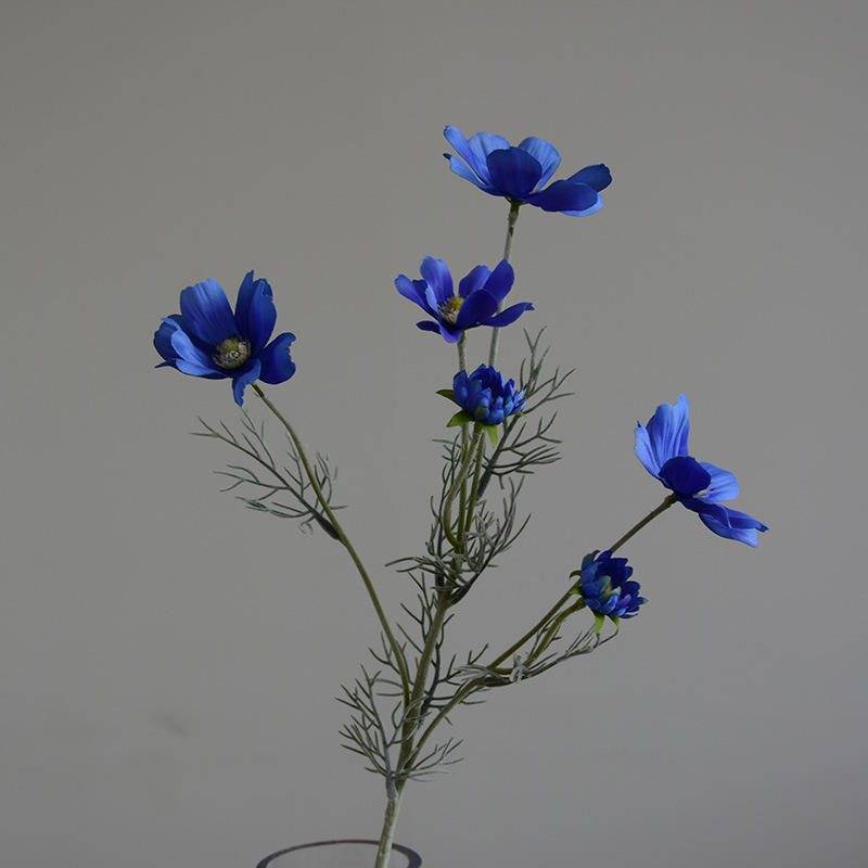 สีน้ำเงิน