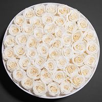 Roses éternelles naturelles préservées, 50 pièces, couleur blanche, dans une boîte ronde en velours, pour mariage, cadeaux d'anniversaire, femmes, mère, épouse
