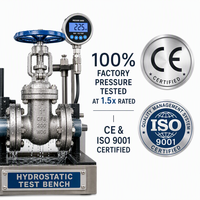 Válvula de Compuerta de 1 Pulgada CF8 SS304 200 WOG con Rosca NPT, Válvula de Compuerta de Acero Inoxidable con Volante Azul para Agua, Aceite y Gas