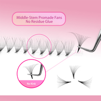 VEYES 200D Kit d'extension de cils individuels vison D Curl Grappes de cils 3D pelucheuses DIY pré-découpé segmenté épais 25mm flashs naturels
