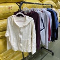 Sweat-shirts à capuche d'occasion en gros pour les friperies et les revendeurs – Lots de sweats à capuche usagés