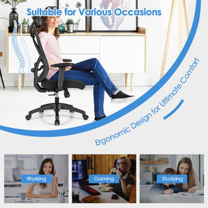 DB Contemporary <b>High</b> Back Mesh Executive <b>Chair</b> <b>Adjustable</b> <b>Height</b> Lumbar Support Comfortable Foam PU Fabric for Modern Workspaces - Product Image 3