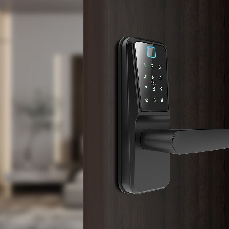 Wifi Ttlock app intelligente biometrico Smart Lock prezzo elettronico digitale Smart Fingerprint Door Handel Lock per la casa di sicurezza