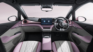 Rhd BYD cá heo EV nhỏ xe điện dài phạm vi 150 km/h Xe tay phải lái xe - Product Image 6