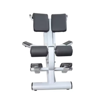 Équipement d'exercice de gymnastique commerciale Machine de fitness avec plaques de poids comprend banc d'extension arrière et chaise romaine
