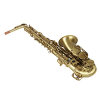 Factory Wholesale Customized Design Lowest Price Brass Eb Tone Alto Sax Musical Instrument