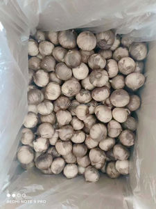 <span class=keywords><strong>Ail</strong></span> <span class=keywords><strong>noir</strong></span> Jin Xiang 250g, une seule goule d'<span class=keywords><strong>ail</strong></span> <span class=keywords><strong>noir</strong></span> <span class=keywords><strong>vieilli</strong></span> pendant 90 jours - Product Image 3