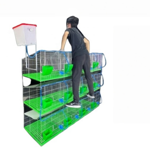 Cage d'élevage industrielle pour lapins à 12 compartiments avec plateau de collecte des excréments pour une élevage efficace - Product Image 6
