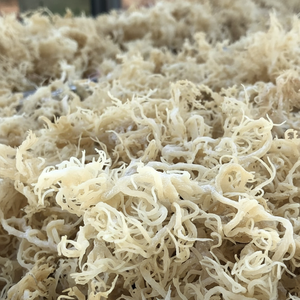 ผงคอลลาเจนกระดูกอ่อนธรรมชาติ | สำหรับข้อต่อและการสนับสนุนกระดูก - Product Image 1