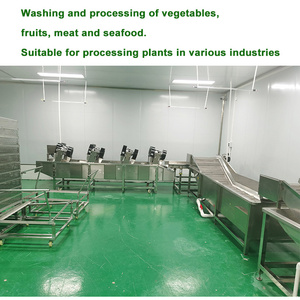 Cinta transportadora <span class=keywords><strong>de</strong></span> ozono comercial, lavadora <span class=keywords><strong>de</strong></span> brotes <span class=keywords><strong>de</strong></span> soja, lavadora <span class=keywords><strong>de</strong></span> arándanos, máquina <span class=keywords><strong>de</strong></span> limpieza <span class=keywords><strong>de</strong></span> <span class=keywords><strong>aguacate</strong></span> - Product Image 5