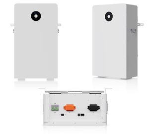 แบตเตอรี่ลิเธียม LiFePO4 รุ่น RW-F16 51.2V 314Ah 16kWh สำหรับระบบกักเก็บพลังงานแสงอาทิตย์แรงดันต่ำ 48V - Product Image 1