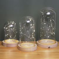 Vente en gros de dôme en verre soufflé à la main à piles dôme de forme ronde avec guirlande lumineuse pour l'affichage de la décoration intérieure