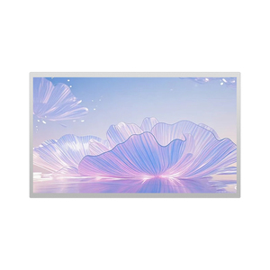 Pantalla Anti-reflejos AUO G156HAN02 2H de 15.6 Pulgadas para Actualización de Pantalla de Operación de Centro de Mecanizado CNC - Product Image 3