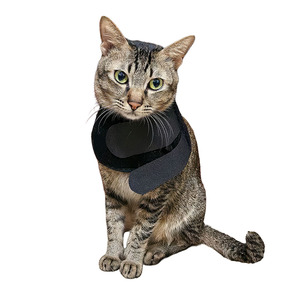 Fascia Terapeutica a Luce Rossa e Infrarossi Certificata CE per Gatti, in Neoprene+TPU, Alimentazione Elettrica, Attrezzatura Veterinaria Terapeutica - Product Image 2