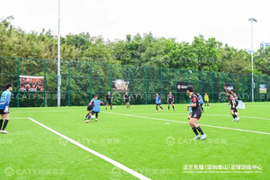 Gránulos de Relleno para Césped Artificial de Doble Capa para Campos de Fútbol, Campos de Fútbol Americano y Sistemas de Césped Artificial - Product Image 6