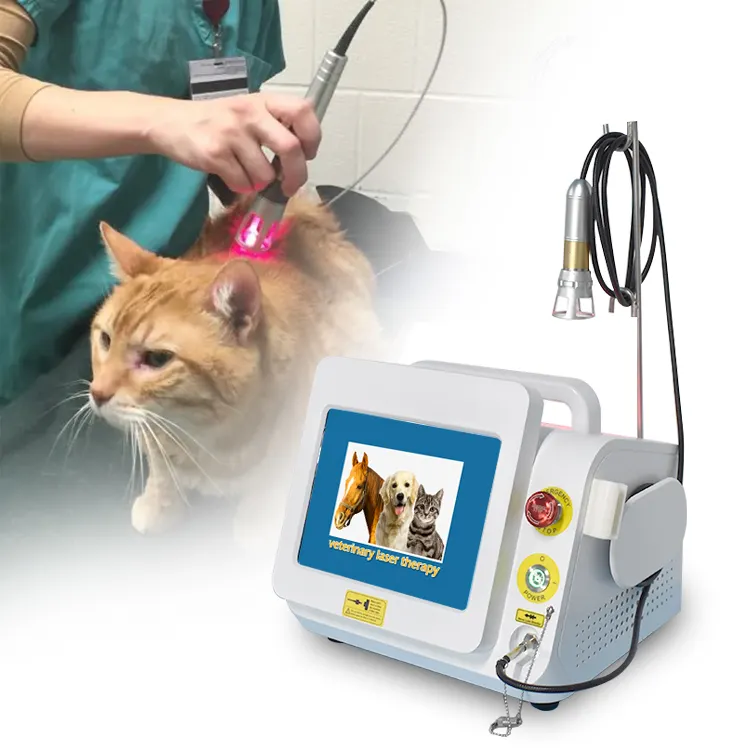 Equipamentos de laser de diodo de 980nm médica veterinária tratamento a laser frio dor veterinária cicatrização de feridas de fisioterapia a laser