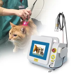 Thiết Bị Y Tế 980nm Diode Laser Điều Trị Thú Y Laser Lạnh Đau Vết Thương Chữa Bệnh Bằng Laser Thú Y Vật Lý Trị Liệu