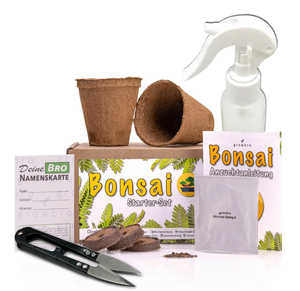 Bonsai Wisteria Grow Kit-Cultivez votre propre bonsaï Bro, cadeaux pour femmes et hommes, Bonsai Starter Kit - Product Image 6