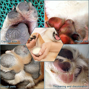 Cera de pata de perro, crema para la nariz, bálsamo de pata de perro, alivia y repara las patas delicadas y hojaldre, crema Natural de <span class=keywords><strong>Coco</strong></span> para nariz de Mascota - Product Image 5