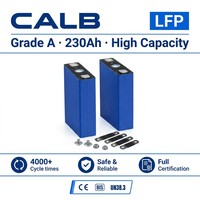 Batterie CALB L173F230 3.2V 230Ah LiFePO4, cellule de qualité A, seulement 4,17 kg, 184 Wh/kg, légère, 4000 cls pour véhicules électriques longue portée
