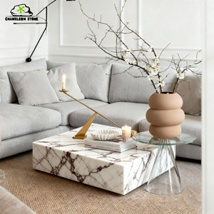 Tắc Kè Hoa đá Bắc Âu hiện đại hình chữ nhật phòng khách trang trí nội thất sang trọng karakata cho bộ sưu tập - Product Image 2