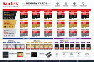 100% Original Wholesale for Ultra TF <b>Memory</b> <b>Cards</b> 32GB and 64GB Bulk Purchases QXA1/ QUAR/ QXCZ/ QXFN/ QQNR Serie Longyexing - P - Product Image 5