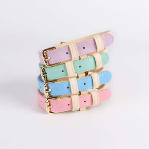 SinSky-<span class=keywords><strong>Collar</strong></span> de cuero para perro cachorro, <span class=keywords><strong>collar</strong></span> de entrenamiento para caminar, color personalizado, de lujo - Product Image 6