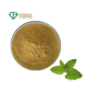 メリッサエキスレモンバームエキスパウダーメリッサオフィシナリス葉エキスロスマリン酸98% - Product Image 1
