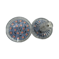 Lumière à cabochon programmable automatique RGB 24 LED AC110v/220v, 60 mm, points lumineux pour manèges de parc d'attractions, grande roue