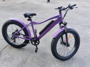 26 Inch Chất Béo Lốp Chu Kỳ Điện Leo Núi Lai Xe Đạp 48V 20Ah Pin Lithium 750W bafang Động Cơ Xe Đạp Điện - Product Image 4