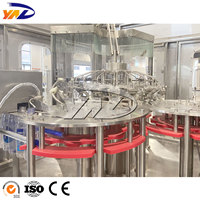 Machine de remplissage automatique de jus, ligne de production de jus de fruits en PET