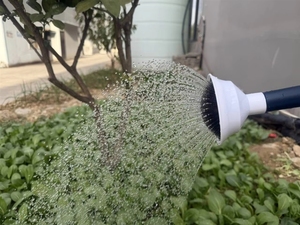 Arrosoir de jardin <span class=keywords><strong>Youfeng</strong></span> 10L en plastique galvanisé écologique de qualité supérieure, fourni directement par l'usine - Product Image 5