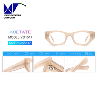 Lunettes de soleil œil-de-chat en acétate sur mesure OEM, taille 52-22-145, vision haute définition pour adultes unisexes, logo et emballage personnalisés