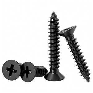 LSM nero 304 in acciaio inox <span class=keywords><strong>vite</strong></span> autofilettante <span class=keywords><strong>testa</strong></span> <span class=keywords><strong>svasata</strong></span> trasversale placcatura zinco metrica M1.7 M2 M2.6 M3 M4 <span class=keywords><strong>M5</strong></span> M6 <span class=keywords><strong>dimensioni</strong></span> <span class=keywords><strong>M5</strong></span> M6 - Product Image 4