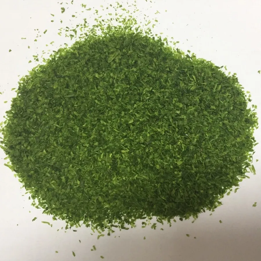 Seaweed Flavor Dried Green Seaweed Ulva Latuca for Sushi/Bread/Cake Condiment
