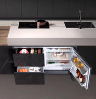 Nouveau prix d'usine, mini réfrigérateur-congélateur domestique 196L, réfrigérateur en plastique intégré, tiroir sous le comptoir, mini bar
