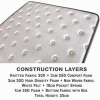 Matelas en mousse à mémoire de forme à ressorts ensachés OEM 25 cm, taille personnalisée 140 160 180*200 cm, fabricant pour la vente au détail en Europe