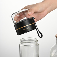 Meilleures ventes Bouteille à thé en verre à double paroi avec filtre Infuseur à thé Bouteilles