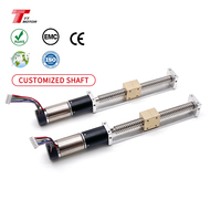Moteur à engrenages sans noyau 12V DC 16mm avec encodeur 1024 lignes et transmission par vis sans fin pour injection de microneedling