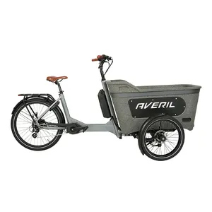 Pedal muatan depan elektrik 2 roda kargo, sepeda listrik sepeda roda tiga untuk dijual, sepeda kargo listrik, sepeda kargo sepeda