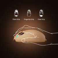 Souris sans fil USB Capybara Ergonomique 3 Boutons Droitière Mignonne pour Filles Bureau Ordinateur Portable Universelle 2.4G Gaming Sans Rétroéclairage