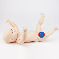 Modelo de Cuidado del Bebé en la Primera Lluna Lunar para Ciencias Médicas Avanzadas, Simulador de Muñeca para Prácticas de Economía del Hogar, Recursos de Enseñanza CE/ISO