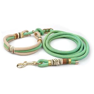 대형견을 위한 다기능 고부가가치 고형 나일론 친환경 애견 견인력 목줄-방폭 애견 산책 로프 P 체인 - Product Image 5