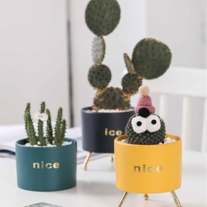 Petit pot de fleurs en céramique nordique moderne personnalisé avec fer forgé pour jardin en gros Ins charnu - Product Image 3