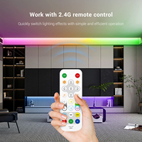 Контроллер SP54CE для умного освещения IoT с двумя режимами RGB CCT, дистанционным голосовым управлением, синхронизацией с умными колонками, записью музыки, радиочастотой 2.4G, радиусом действия 30 м, гарантией 5 лет